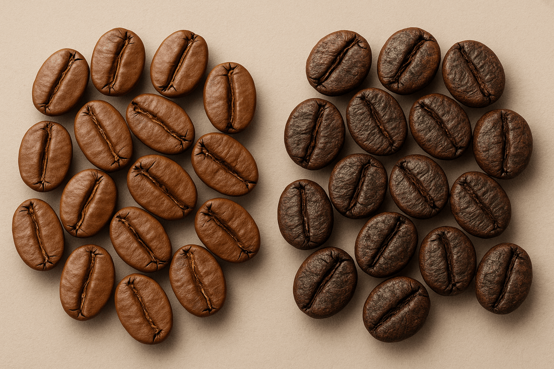 Arabica vs. Robusta: Key Differences You Should Know - Kaffeia Origins